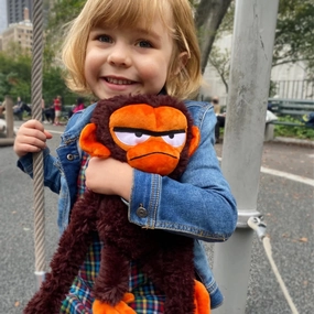Grumpy Monkey Soft Toy