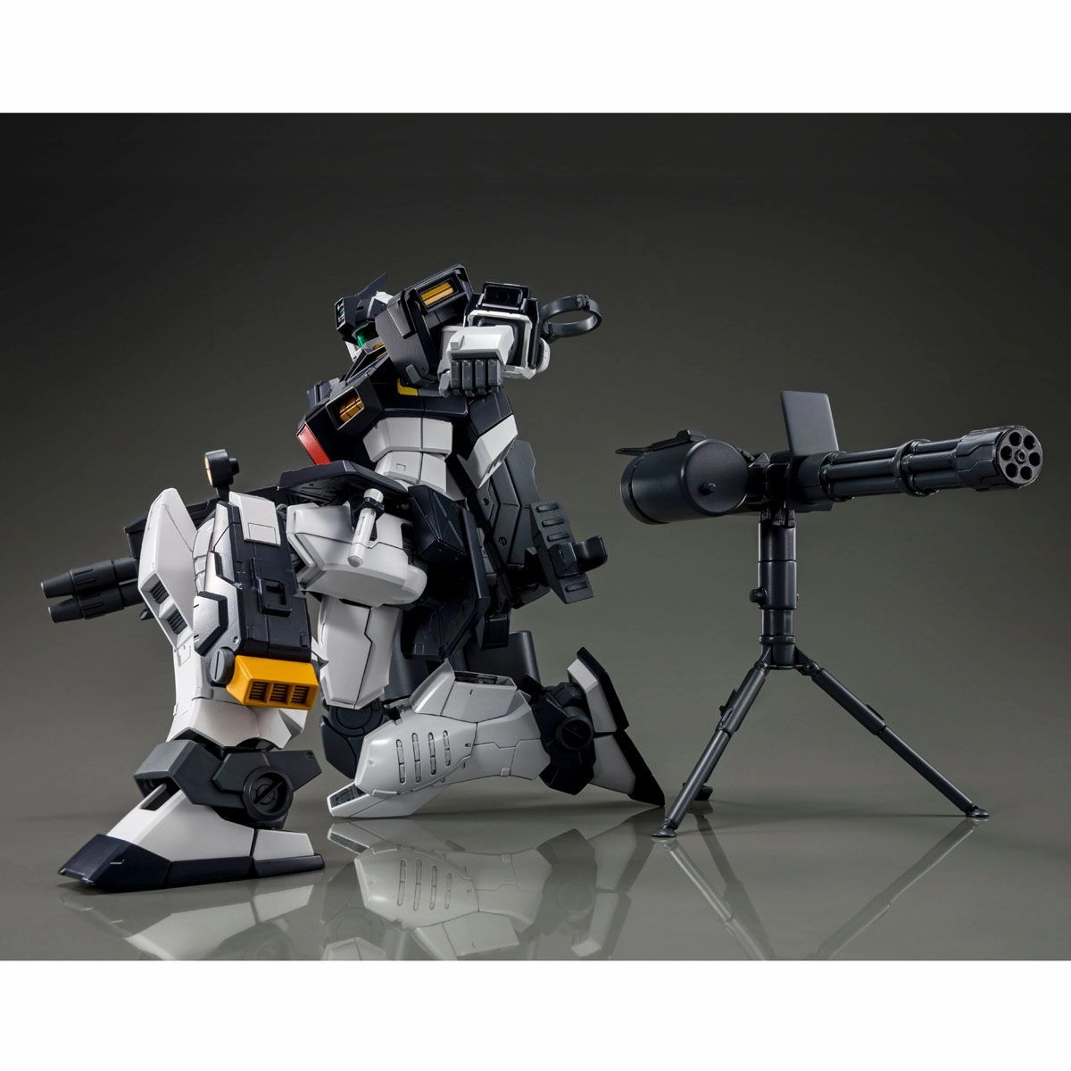 Gundam 1/100 MG RGM-79DO GM Dominance Philip Huges Custom Model Kit Exclusive