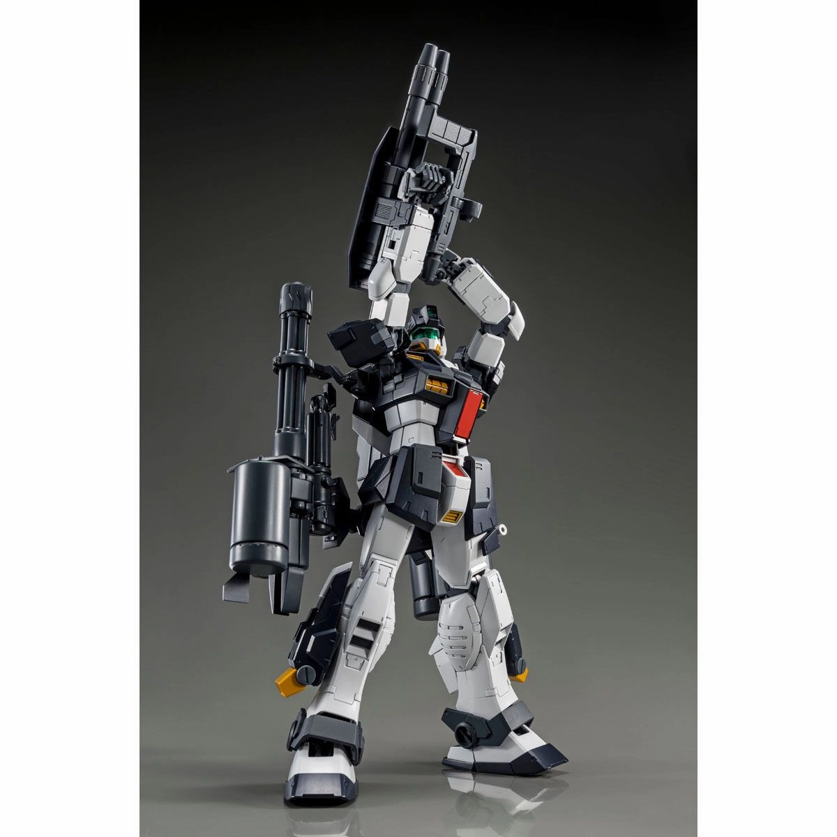 Gundam 1/100 MG RGM-79DO GM Dominance Philip Huges Custom Model Kit Exclusive