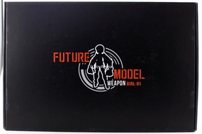 M.J.H Future Model Weapon Girl 01 & 1/144 RG Parts for Red Astray